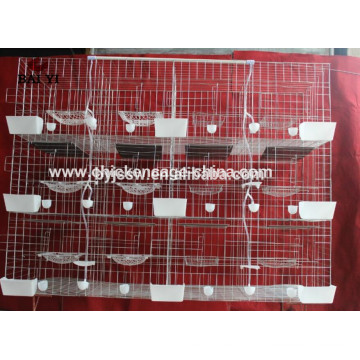 Sistema de bebida automático Pigeon Breeding Cage